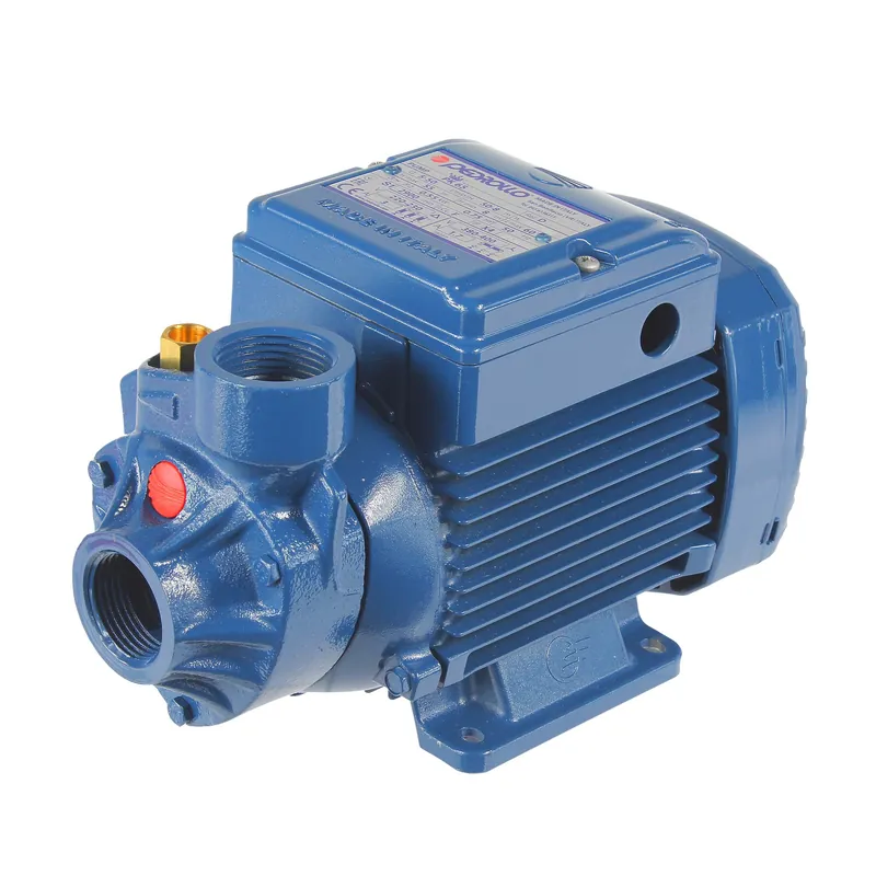 Pompa PK 65 0,55kW/400V Pedrollo Sprawdź teraz