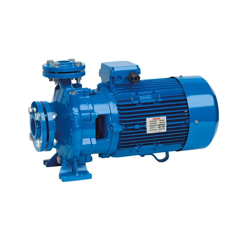 Zamów teraz Pompa CS 40-200B 5,5kW/400V Speroni