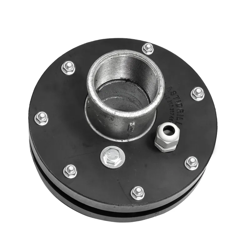 Bezpieczne zakupy Głowica studni głębinowej 200mm x 5/4" P