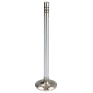 Dostępne od ręki Zawór dolotowy (44x9,93x169,9mm) pasuje do DAF