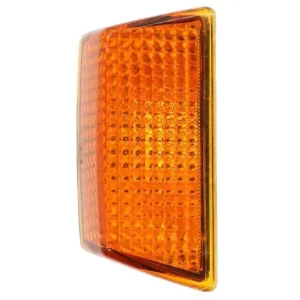 Oferta limitowana Lampa kierunkowskazu bok P (kolor szkła pomarańczowy, H21W, z oprawką żarówki) pasuje do VOLVO FH12, FH16 09.01-