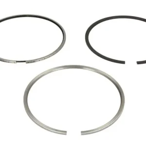 Bezpieczna płatność Pierścienie tłokowe (110mm (STD)) pasuje do DEUTZ, VOLVO TCD 7.8 L6